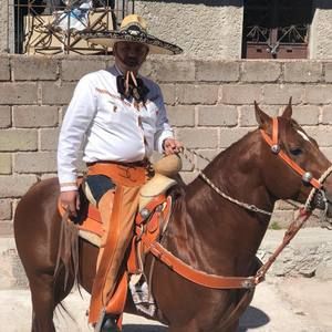 Meet your Posher, Sergio